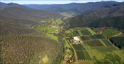 Wandiligong Valley - VIC T (PBH3 00 34062)